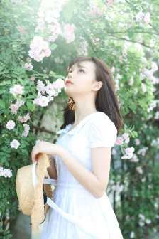 桃花网视频